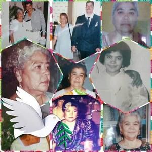 Meet your Posher, Guillermo